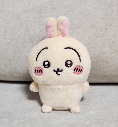 콜리 유저가 올린 이미지