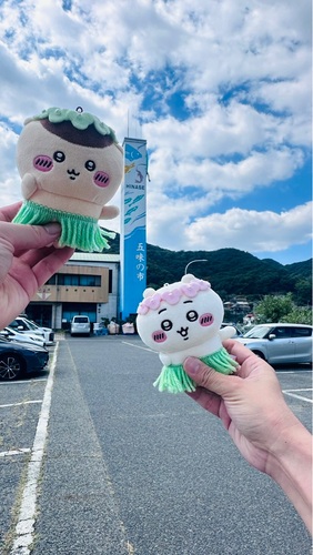 콜리 유저가 올린 이미지