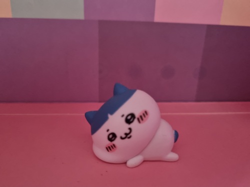콜리 유저가 올린 이미지