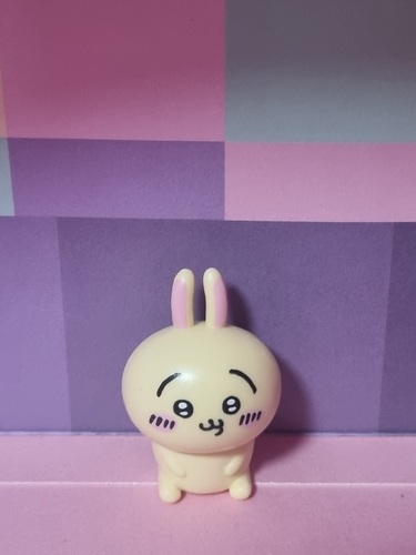 콜리 유저가 올린 이미지