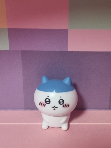 콜리 유저가 올린 이미지