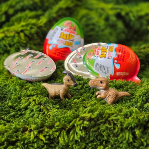 콜리 유저가 올린 이미지