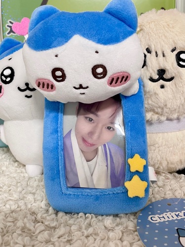 콜리 유저가 올린 이미지