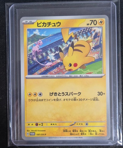 콜리 유저가 올린 이미지