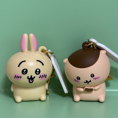 콜리 유저가 올린 이미지