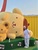 TEAMPURIN