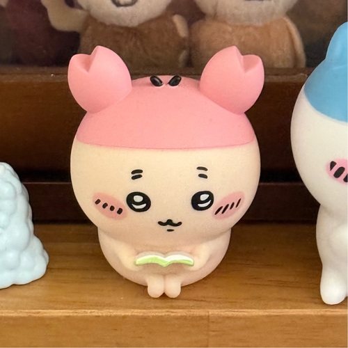 콜리 유저가 올린 이미지