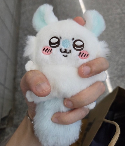 콜리 유저가 올린 이미지
