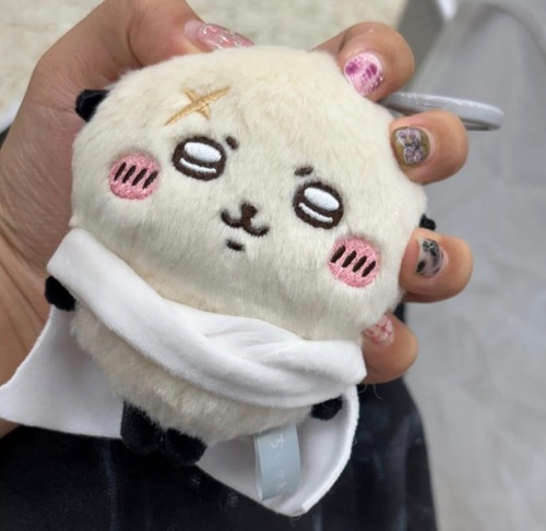 콜리 유저가 올린 이미지