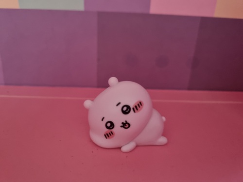 콜리 유저가 올린 이미지