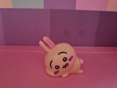 콜리 유저가 올린 이미지