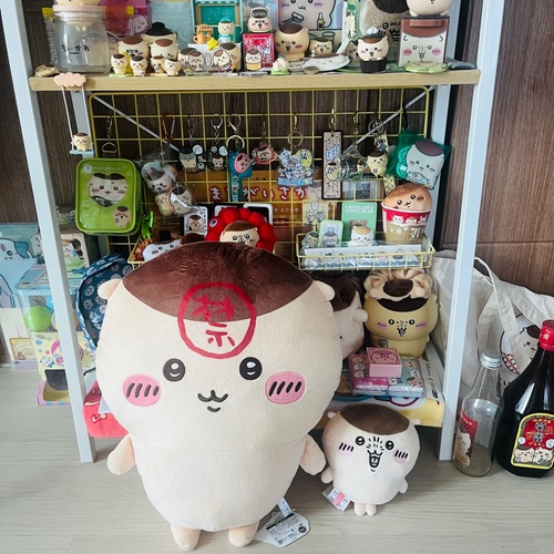 콜리 유저가 올린 이미지