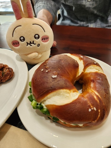 콜리 유저가 올린 이미지