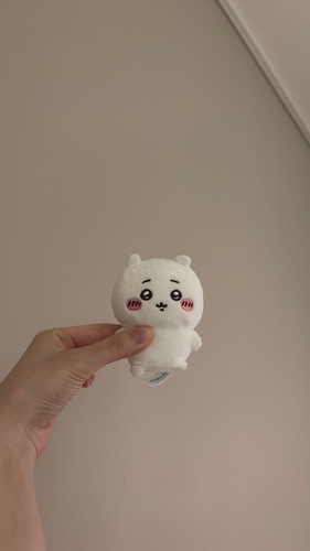 콜리 유저가 올린 이미지