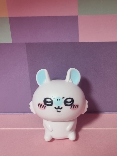 콜리 유저가 올린 이미지
