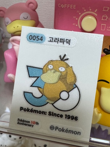 콜리 유저가 올린 이미지