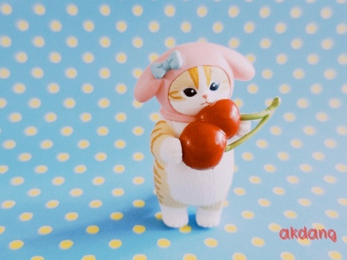 콜리 유저가 올린 이미지