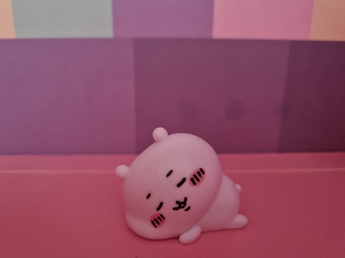 콜리 유저가 올린 이미지