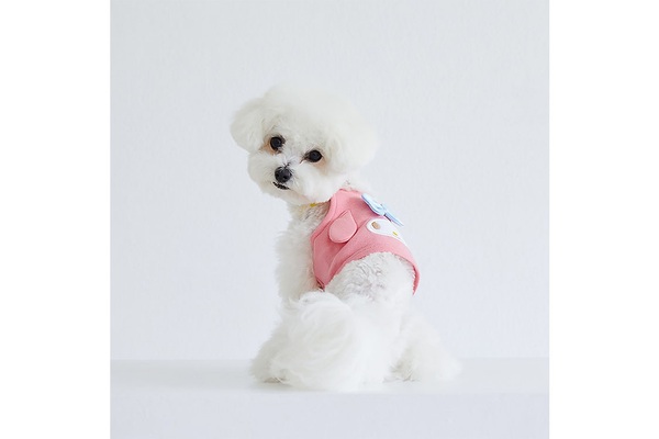 산리오 캐릭터즈 강아지 옷 출시