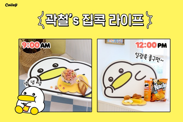 콜리 곽철이 접이식 테이블 출시