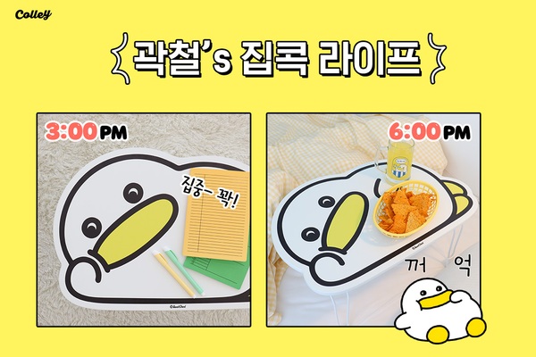 콜리 곽철이 접이식 테이블 출시