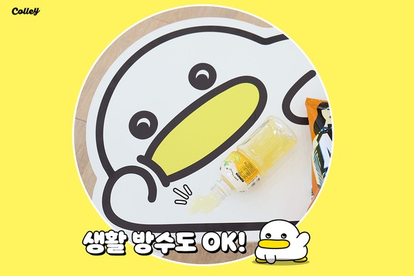 콜리 곽철이 접이식 테이블 출시