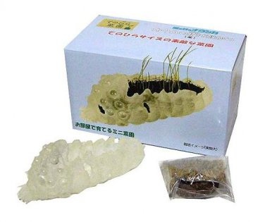 지브리의 최애 다섯 영화, 다섯 캐릭터, 여러 굿즈들