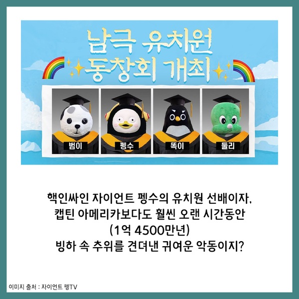 콜리프로젝트 슈가캐 Vol.3