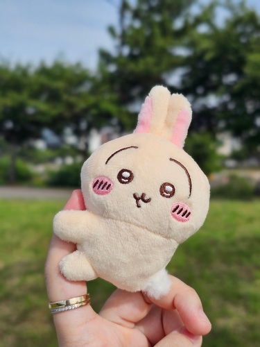 콜리 유저가 올린 이미지