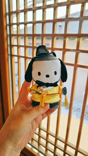 콜리 유저가 올린 이미지
