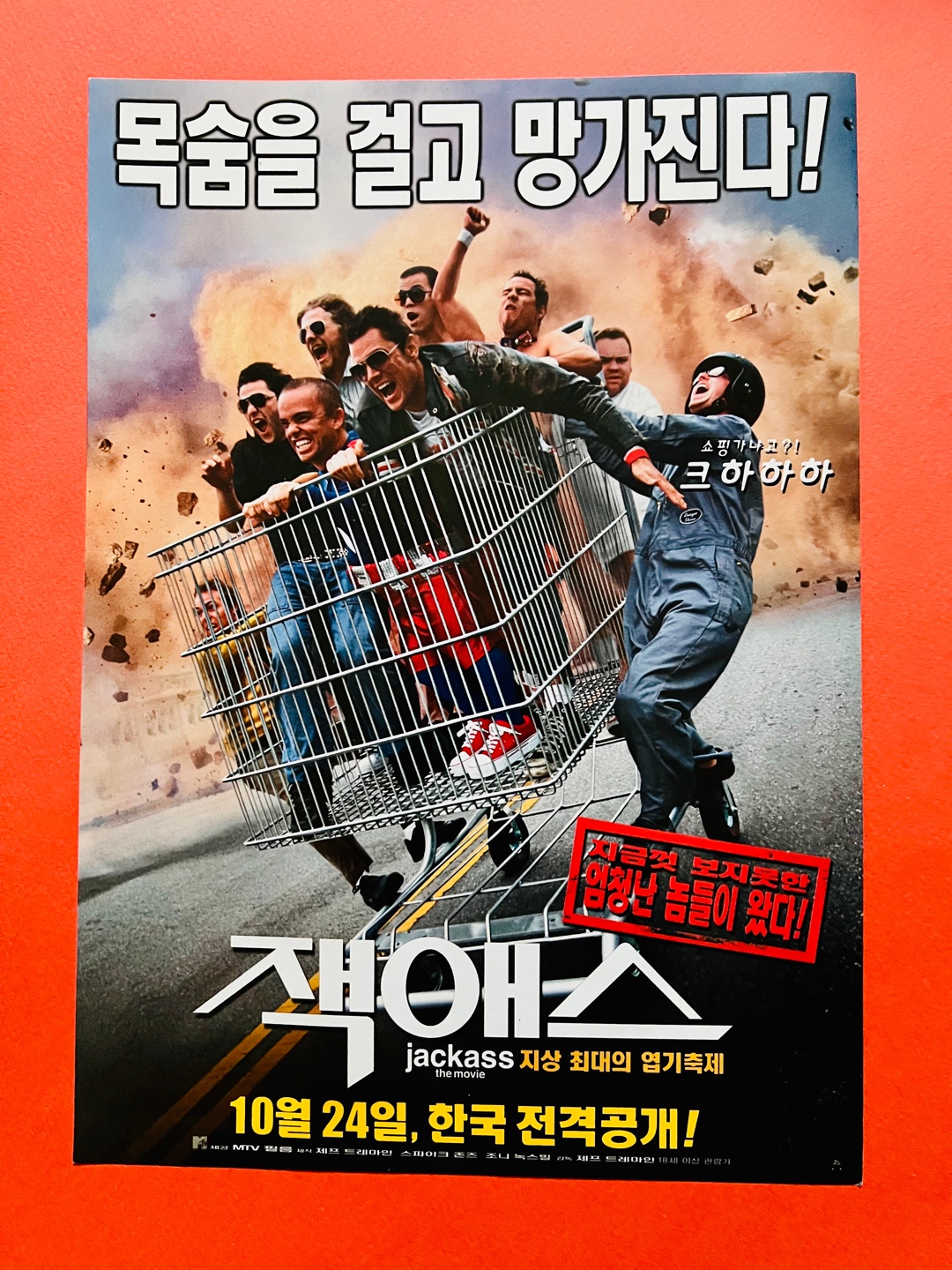 [영화팜플렛] 잭애스 A4 1장 전단지(2002) | 콜리(Colley)