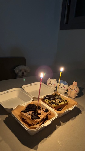콜리 유저가 올린 이미지