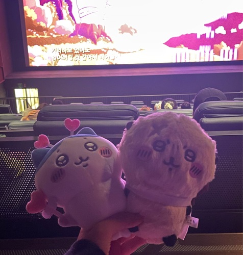 콜리 유저가 올린 이미지