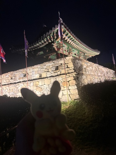 콜리 유저가 올린 이미지