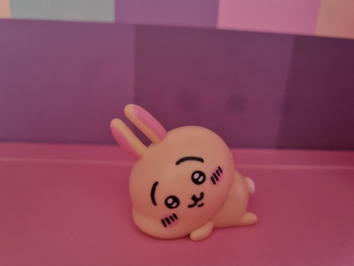 콜리 유저가 올린 이미지