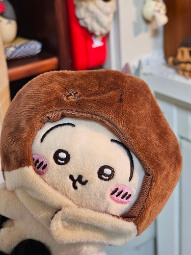 콜리 유저가 올린 이미지