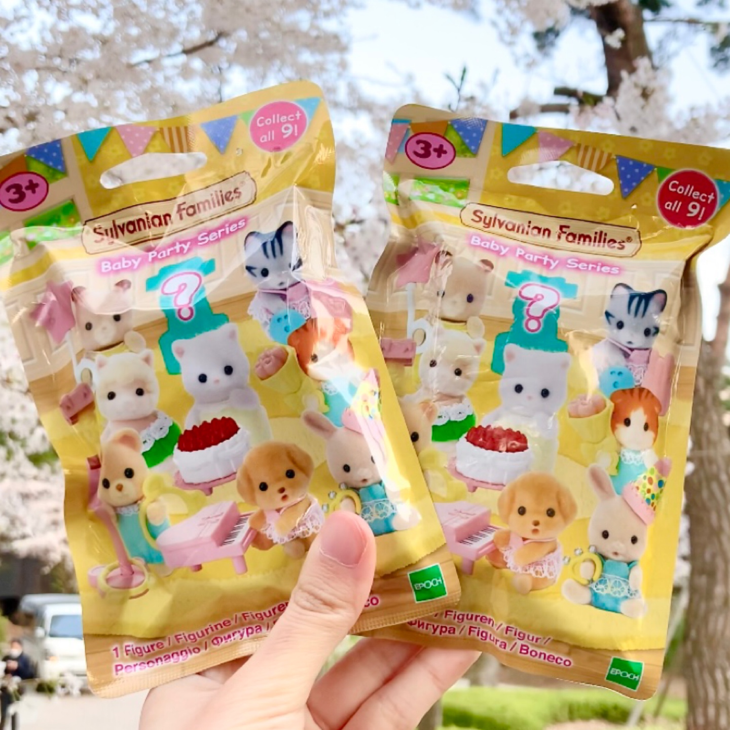 🐰🐱🐶