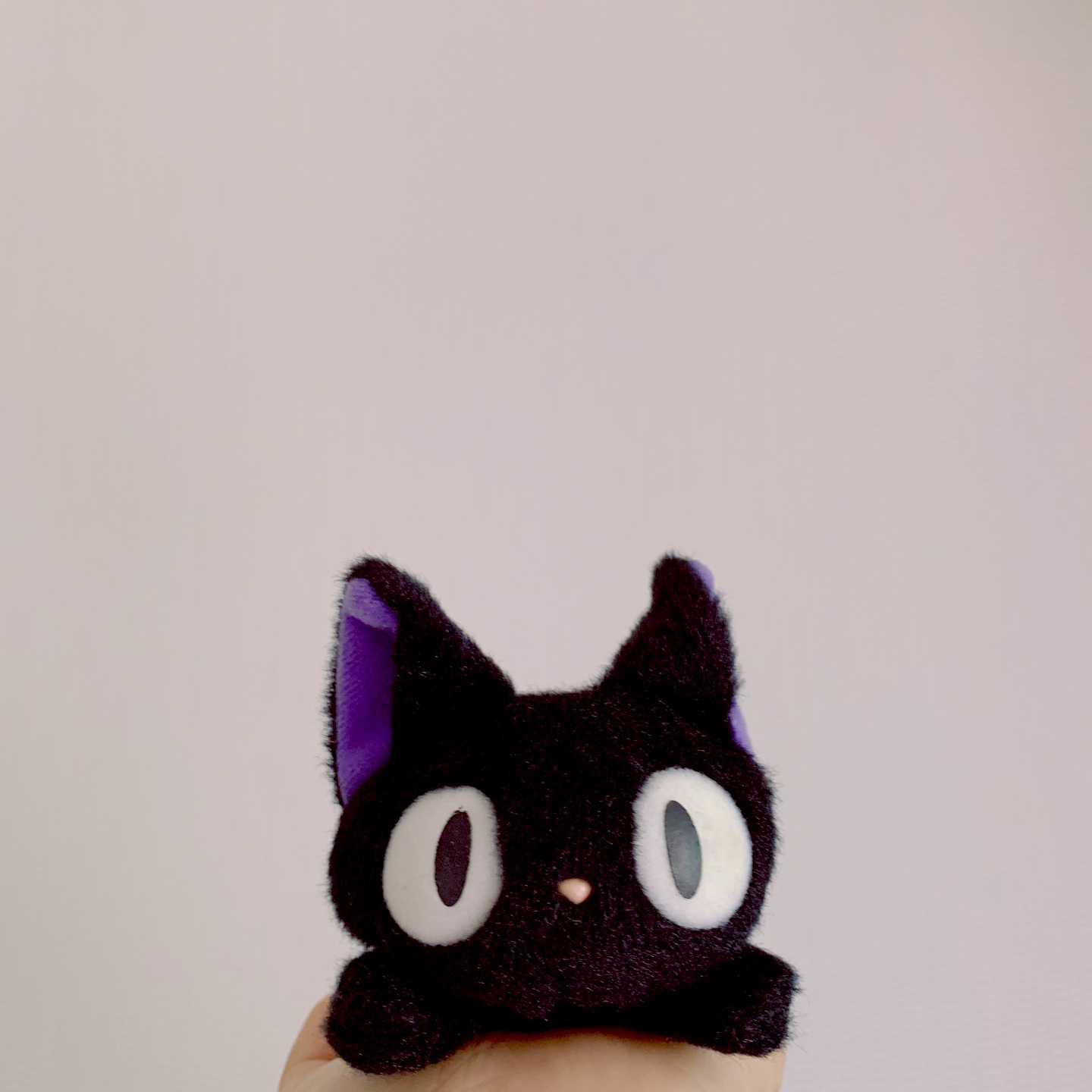 지지