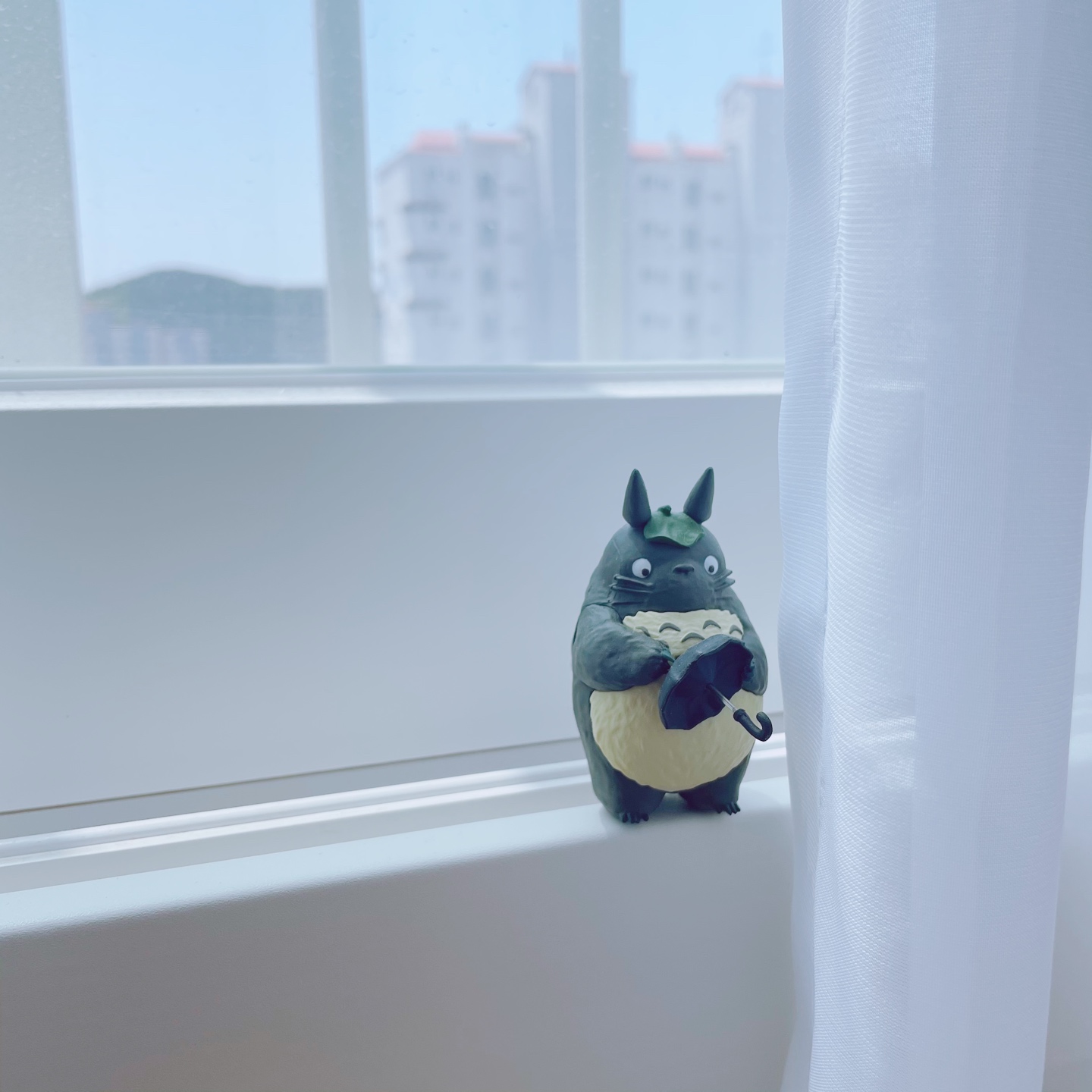 토토로🤟🏻