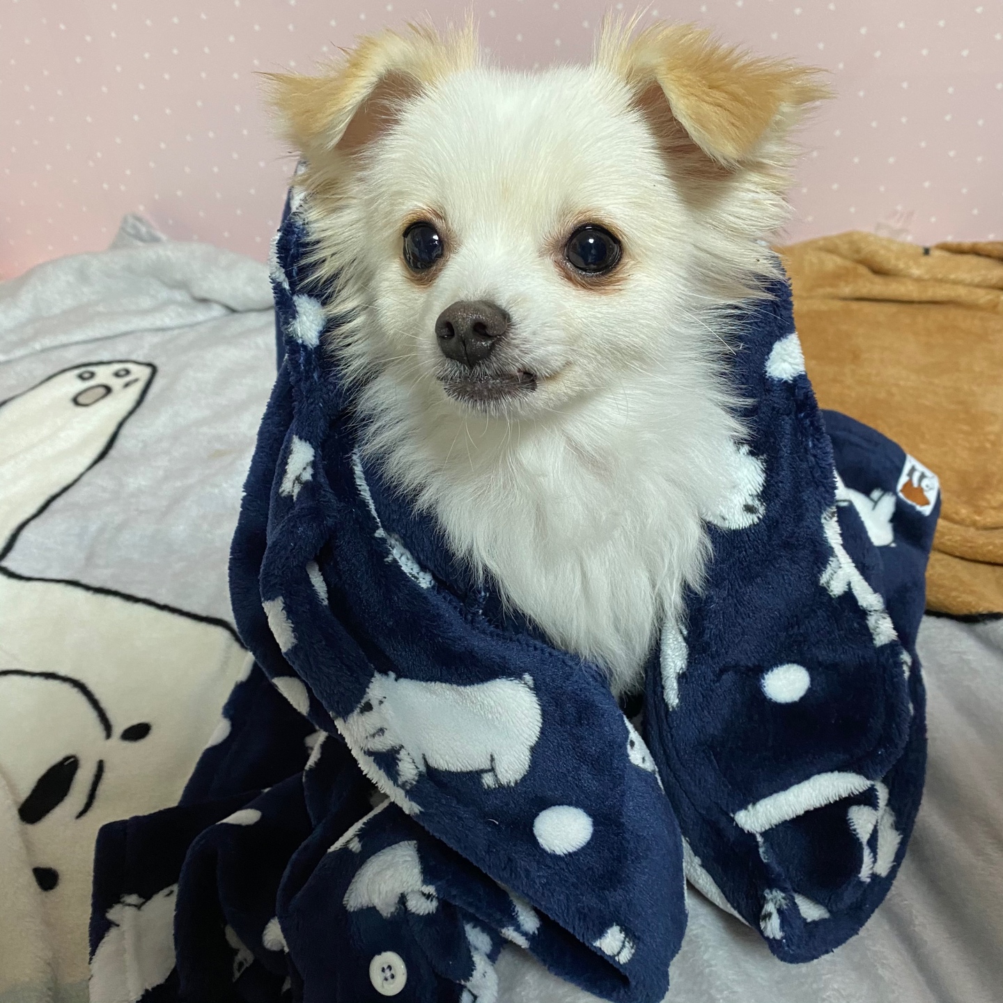 위베어베어스 잠옷 🐻🐼🐻‍❄️