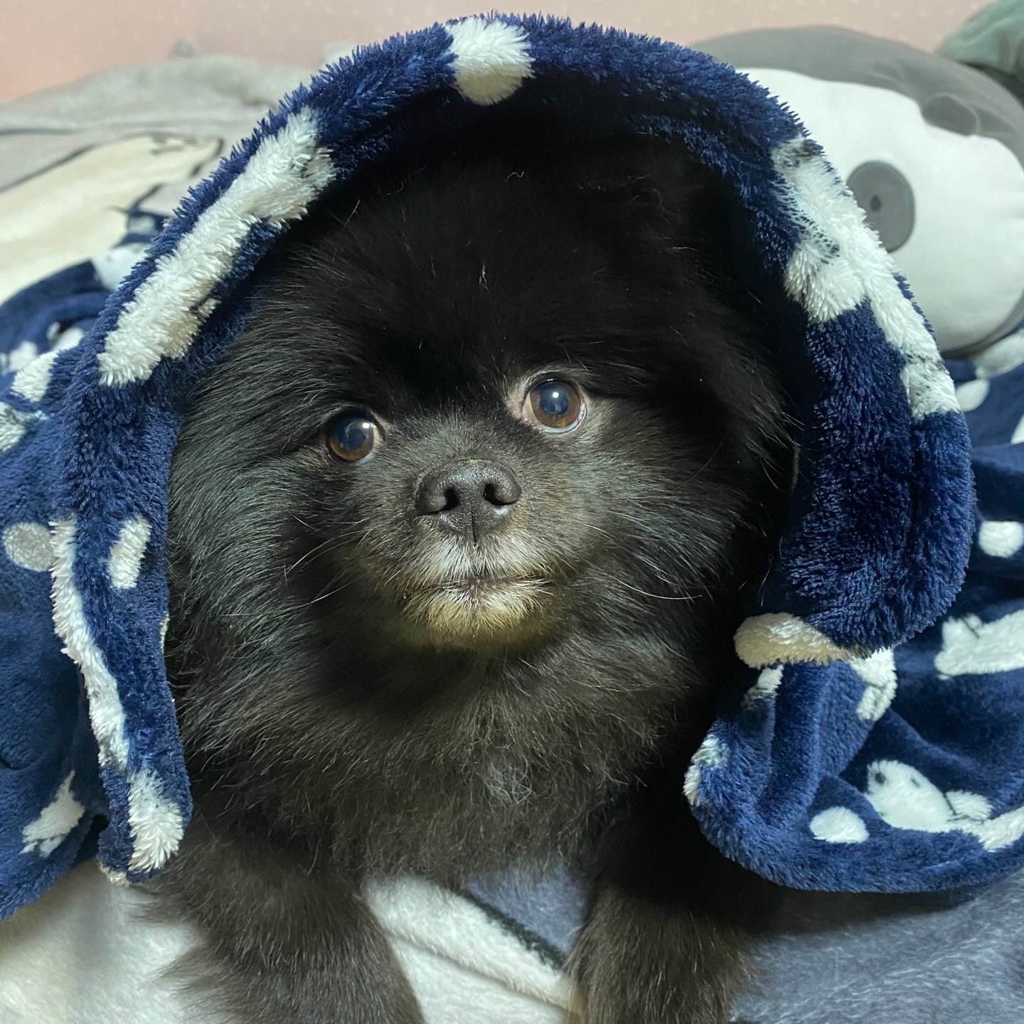 위베어베어스 잠옷 🐻🐼🐻‍❄️
