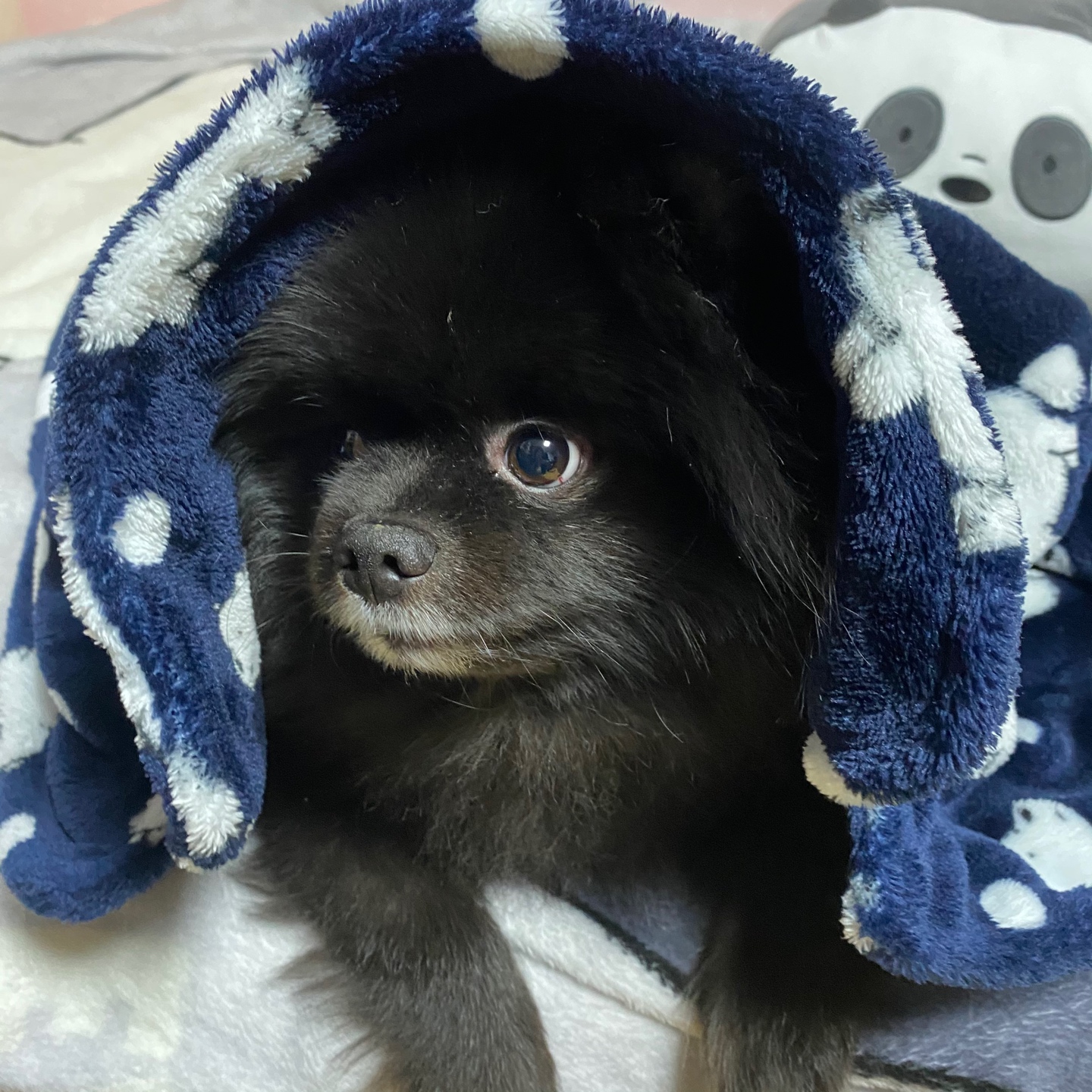 위베어베어스 잠옷 🐻🐼🐻‍❄️