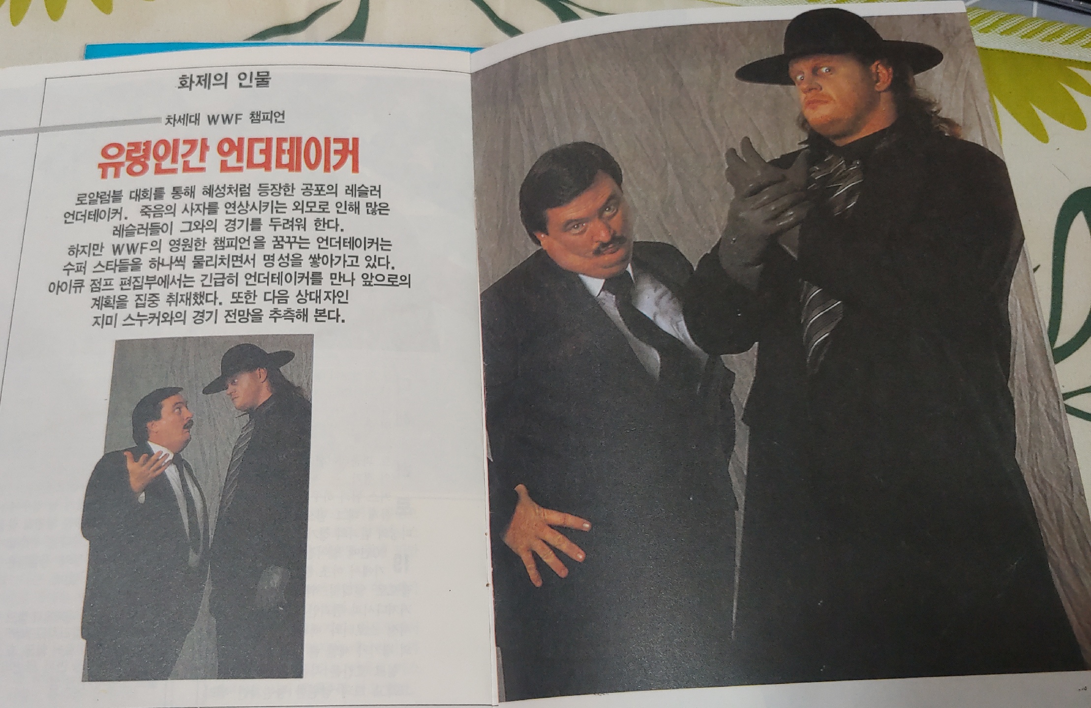 WWF올스타 화보집