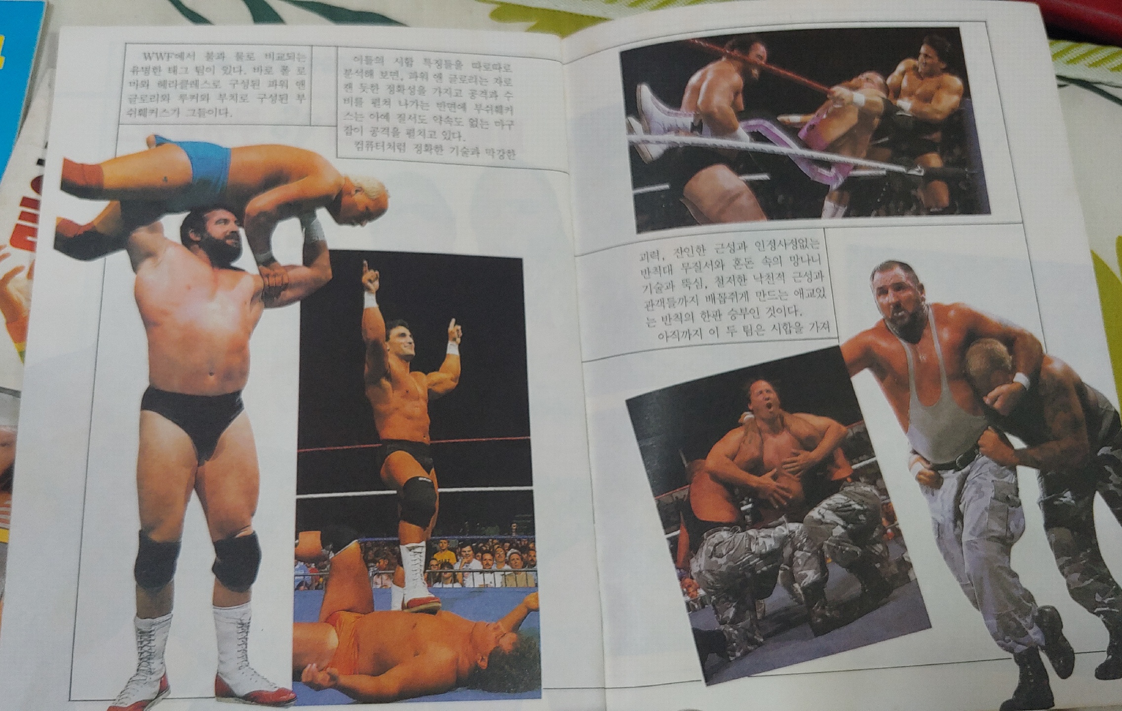 WWF올스타 화보집
