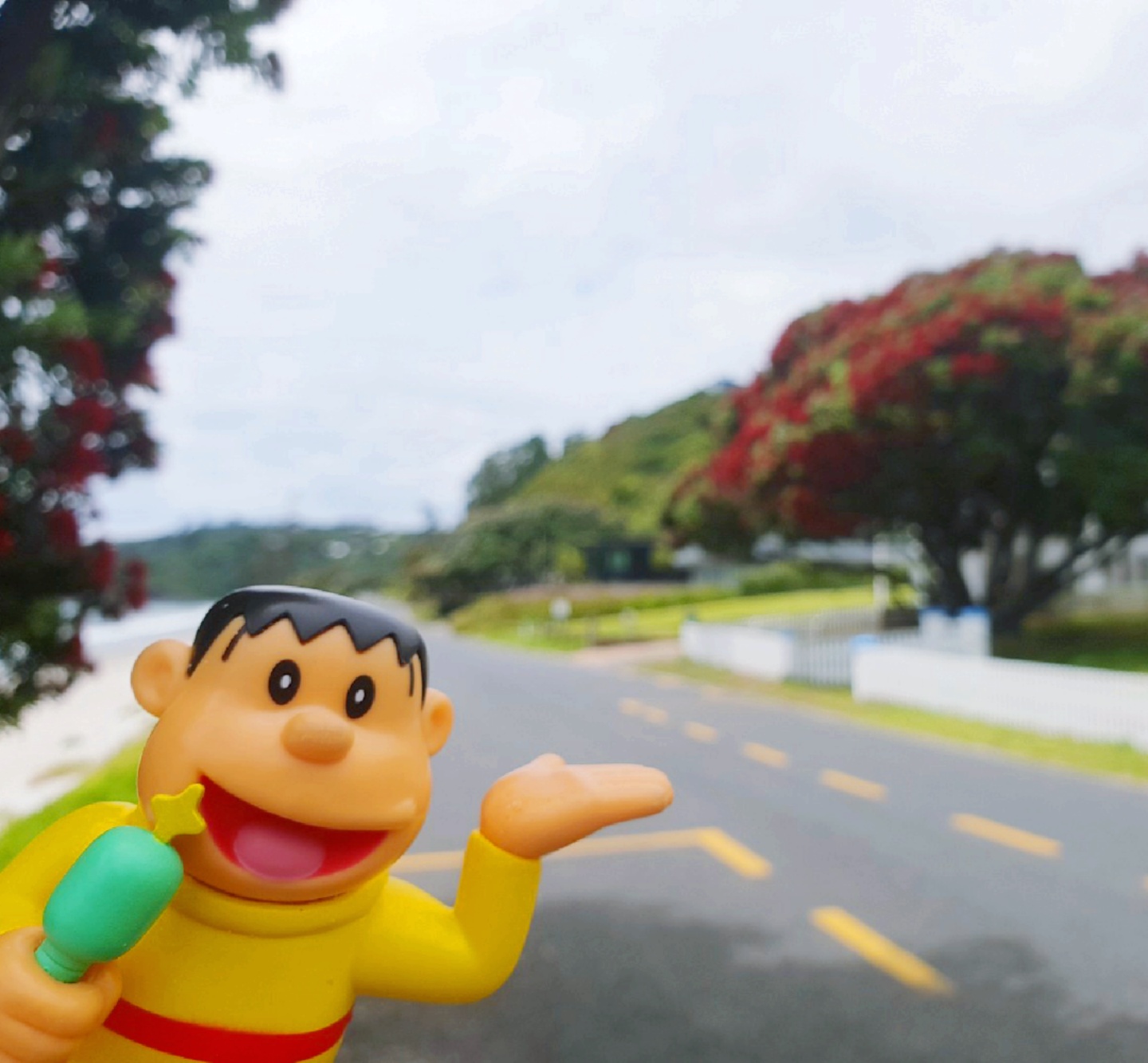 퉁퉁이와의 여행 - 2018 New Zealand
