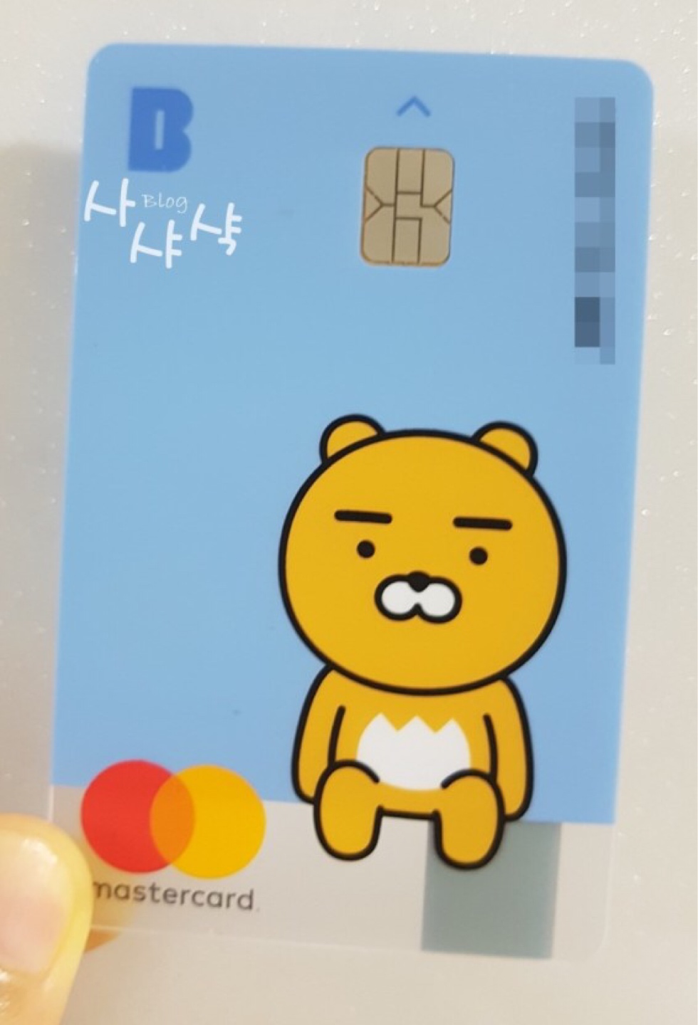 라이언 카드