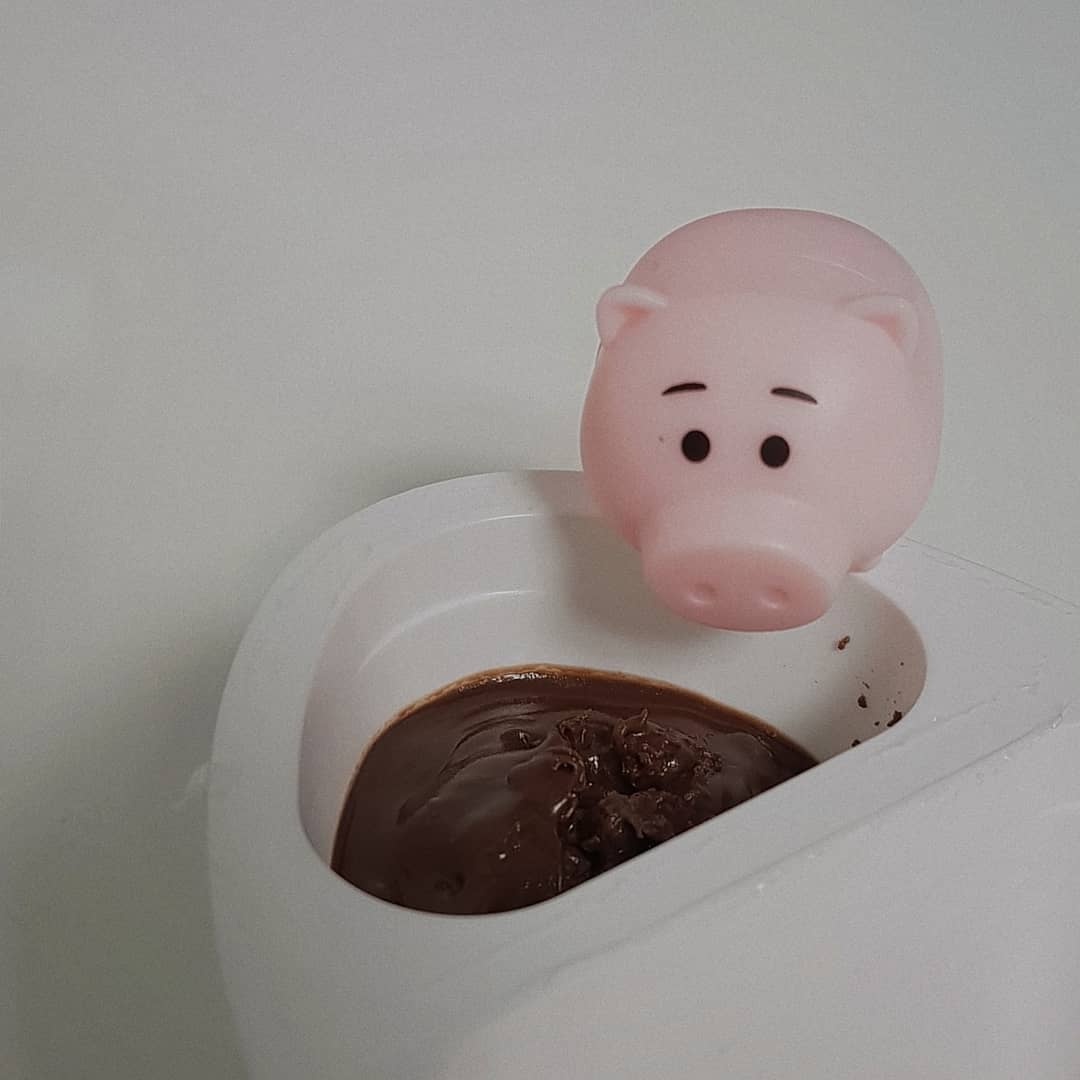 자이니🍫