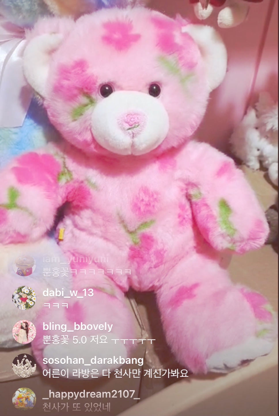 사랑이들 오늘 데려왔어요💓💓