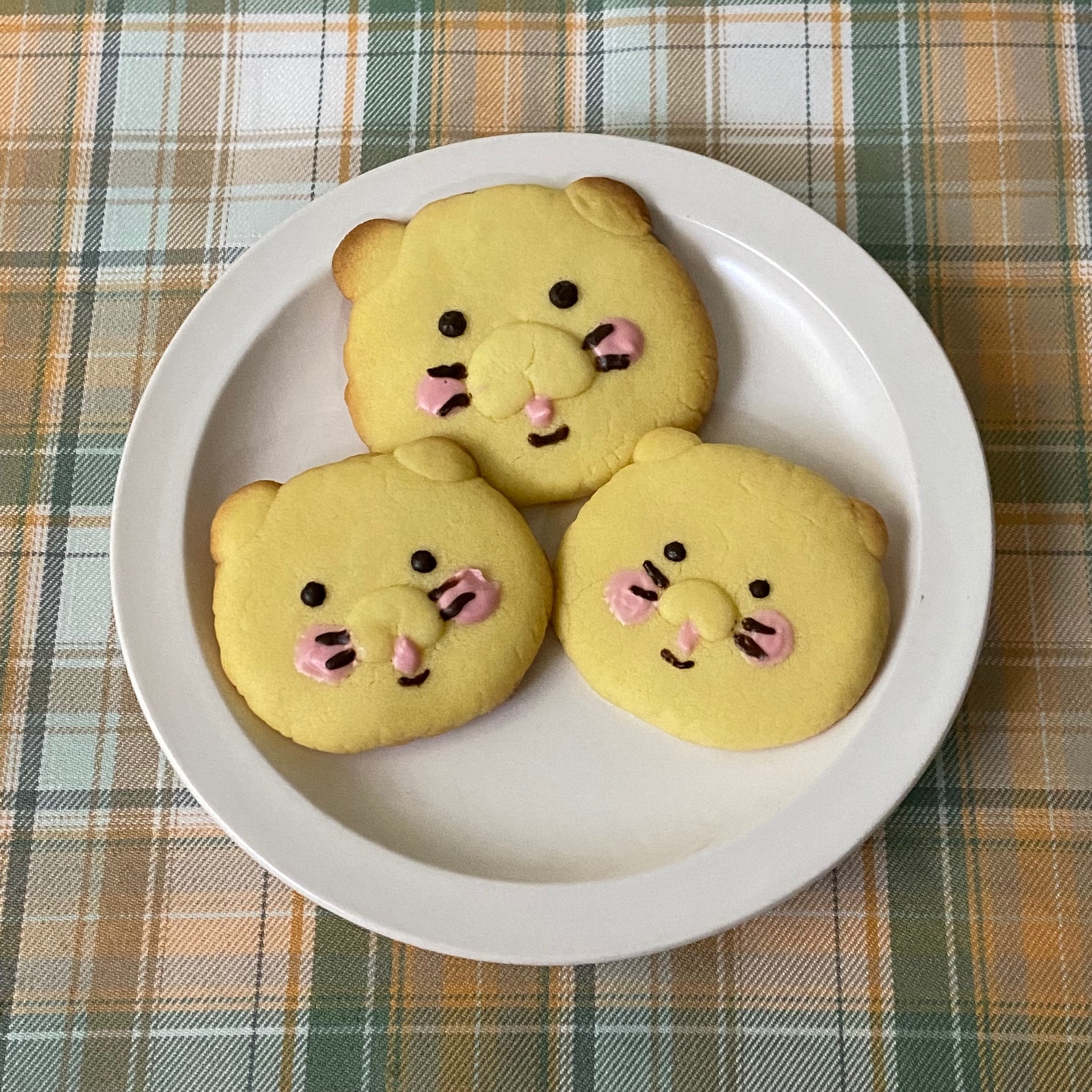 춘식이 버터쿠키🐱🧡