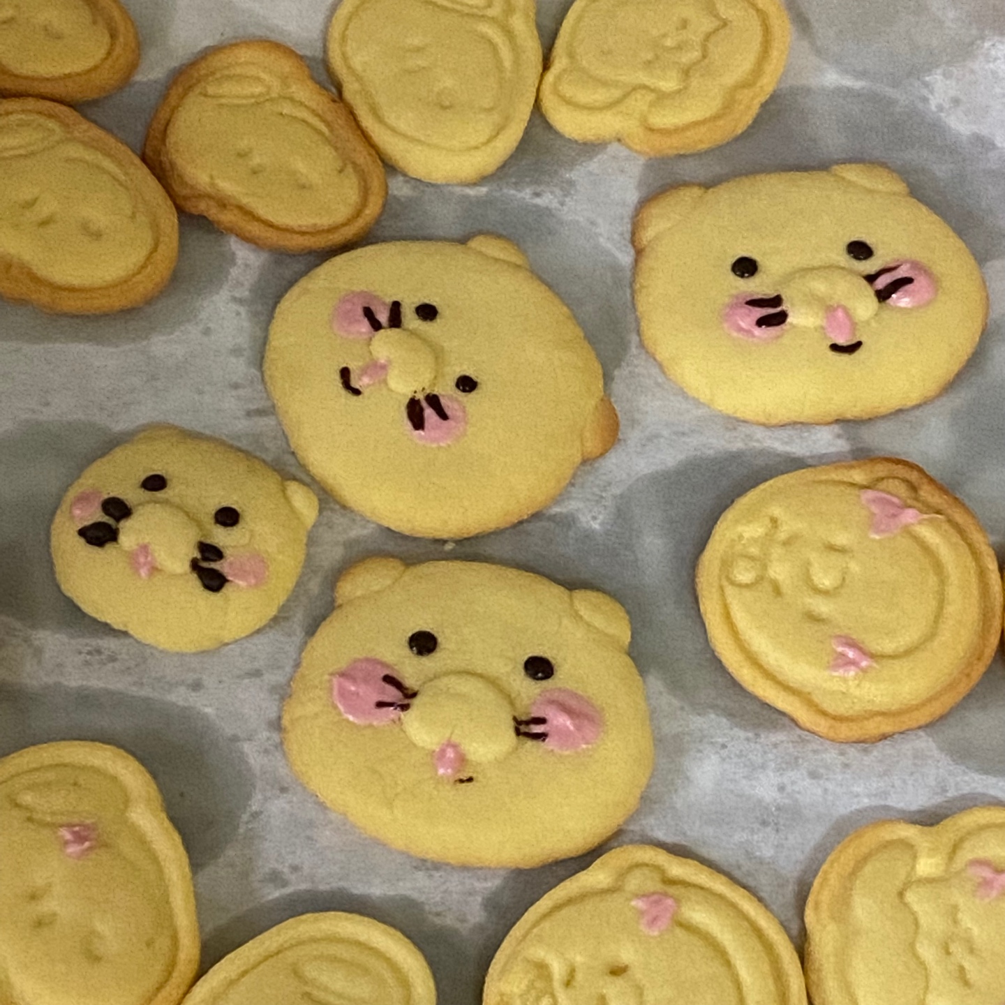춘식이 버터쿠키🐱🧡